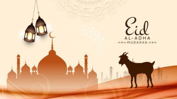 Ingin Berqurban Dilarang Memotong Beberapa Bagian Tubuh Lho..